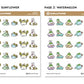 Sunny Treats | Decorative Kit (4 Pages)