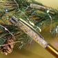 Tinsel | Pen