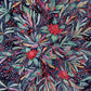 Waratah | Greeting Card
