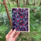 Waratah | Greeting Card