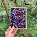 Waratah | Greeting Card